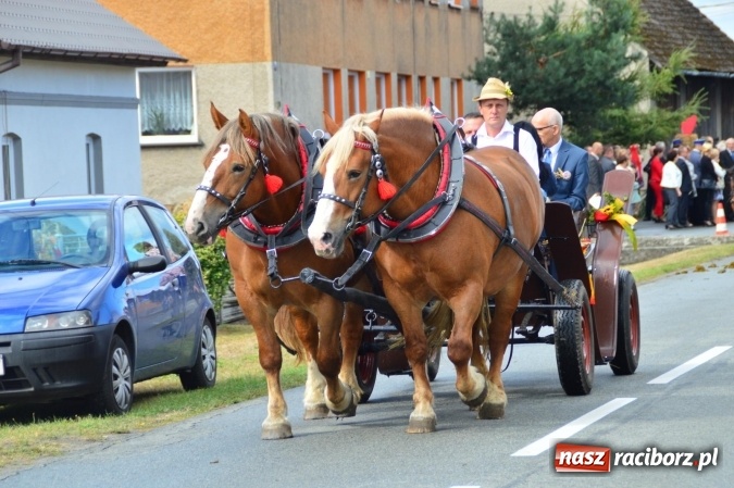 Zdjęcie w galerii na portalu naszraciborz.pl: Dożynki 2015 - powiat dziękuje za plony w Siedliskach wiadomości z regionu