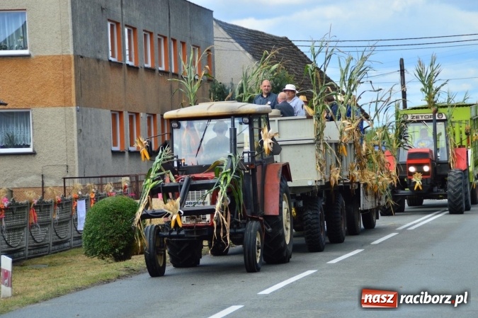 Zdjęcie w galerii na portalu naszraciborz.pl: Dożynki 2015 - powiat dziękuje za plony w Siedliskach wiadomości z regionu