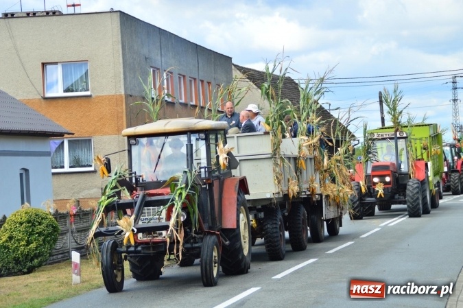 Zdjęcie w galerii na portalu naszraciborz.pl: Dożynki 2015 - powiat dziękuje za plony w Siedliskach wiadomości z regionu