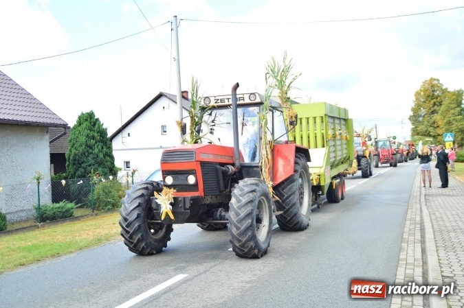 Zdjęcie w galerii na portalu naszraciborz.pl: Dożynki 2015 - powiat dziękuje za plony w Siedliskach wiadomości z regionu