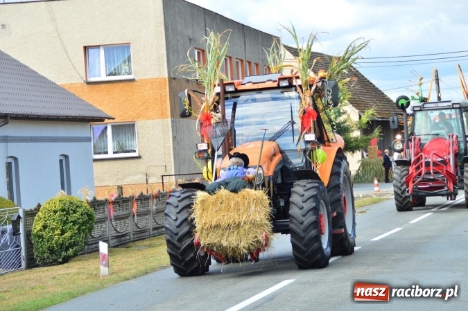 Zdjęcie w galerii na portalu naszraciborz.pl: Dożynki 2015 - powiat dziękuje za plony w Siedliskach wiadomości z regionu
