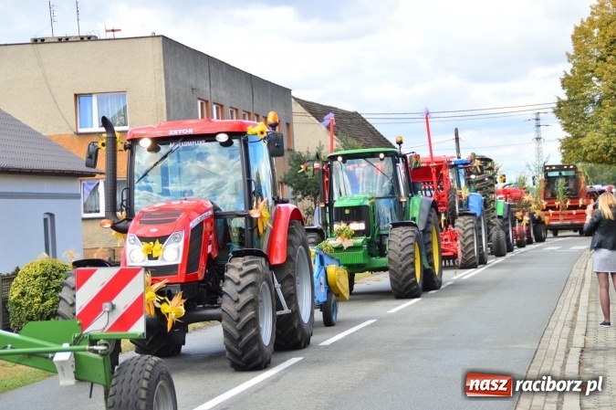 Zdjęcie w galerii na portalu naszraciborz.pl: Dożynki 2015 - powiat dziękuje za plony w Siedliskach wiadomości z regionu