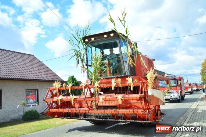 Zdjęcie w galerii na portalu naszraciborz.pl: Dożynki 2015 - powiat dziękuje za plony w Siedliskach wiadomości z regionu