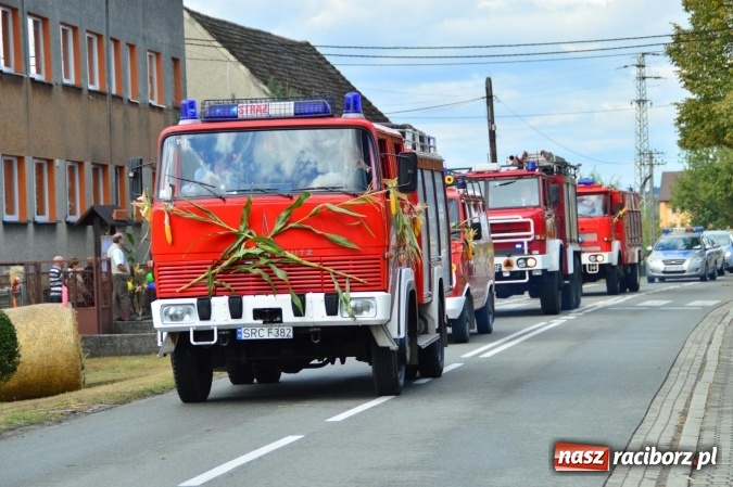 Zdjęcie w galerii na portalu naszraciborz.pl: Dożynki 2015 - powiat dziękuje za plony w Siedliskach wiadomości z regionu