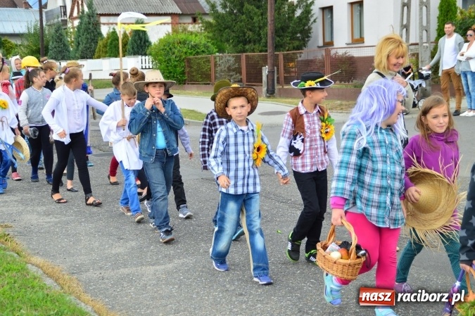 Zdjęcie w galerii na portalu naszraciborz.pl: Dożynki 2015 – rządowcy przyjechali do Bieńkowic a rolnicy wyjechali na Hawaje wiadomości z regionu