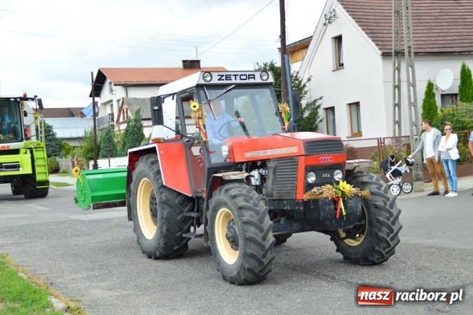 Zdjęcie w galerii na portalu naszraciborz.pl: Dożynki 2015 – rządowcy przyjechali do Bieńkowic a rolnicy wyjechali na Hawaje wiadomości z regionu