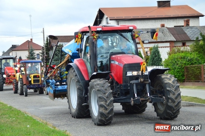 Zdjęcie w galerii na portalu naszraciborz.pl: Dożynki 2015 – rządowcy przyjechali do Bieńkowic a rolnicy wyjechali na Hawaje wiadomości z regionu