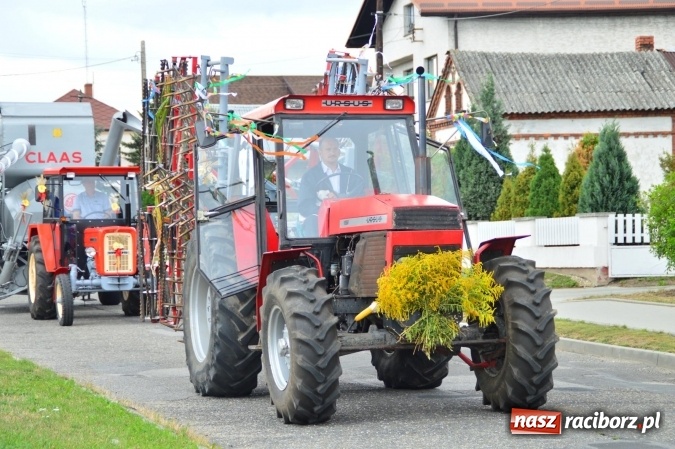 Zdjęcie w galerii na portalu naszraciborz.pl: Dożynki 2015 – rządowcy przyjechali do Bieńkowic a rolnicy wyjechali na Hawaje wiadomości z regionu