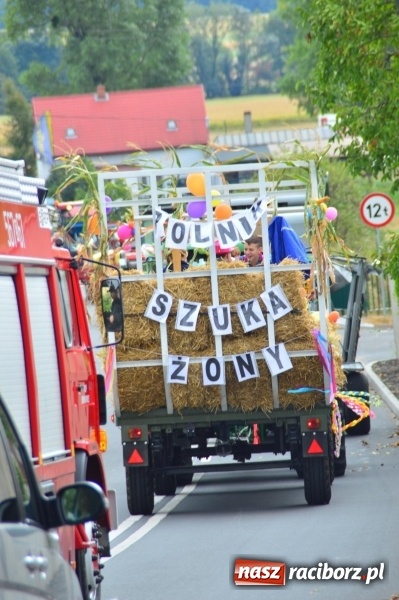 Zdjęcie w galerii na portalu naszraciborz.pl: Dożynki 2015 – rządowcy przyjechali do Bieńkowic a rolnicy wyjechali na Hawaje wiadomości z regionu