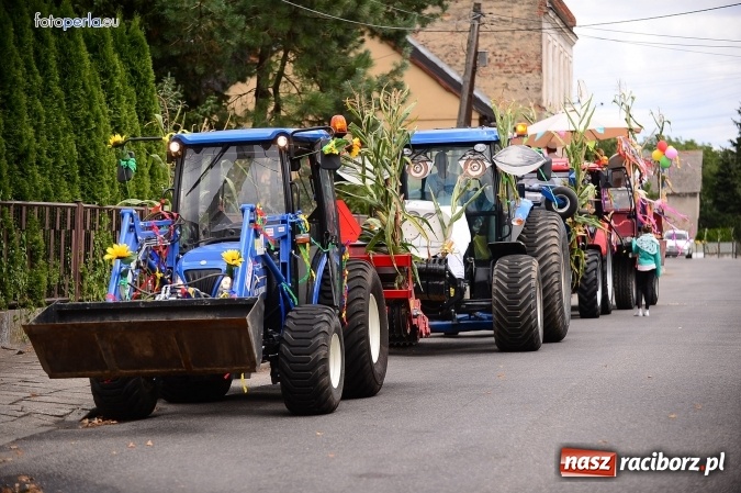 Zdjęcie w galerii na portalu naszraciborz.pl: Dożynki 2015 - krzanowicki korowód w obiektywie studia FotoPerla.eu wiadomości z regionu