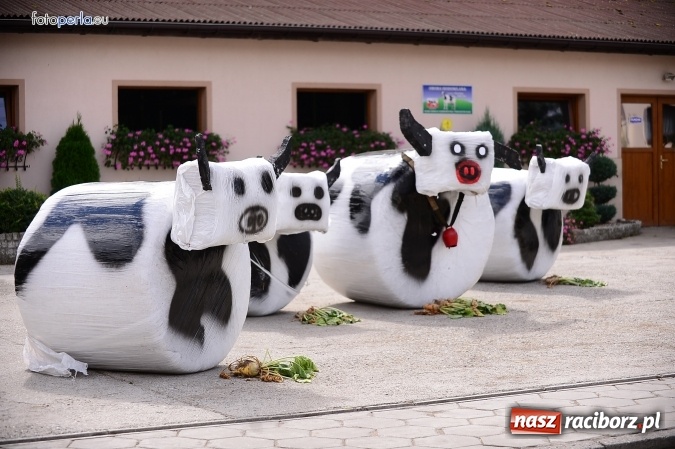 Zdjęcie w galerii na portalu naszraciborz.pl: Dożynki 2015 - krzanowicki korowód w obiektywie studia FotoPerla.eu wiadomości z regionu