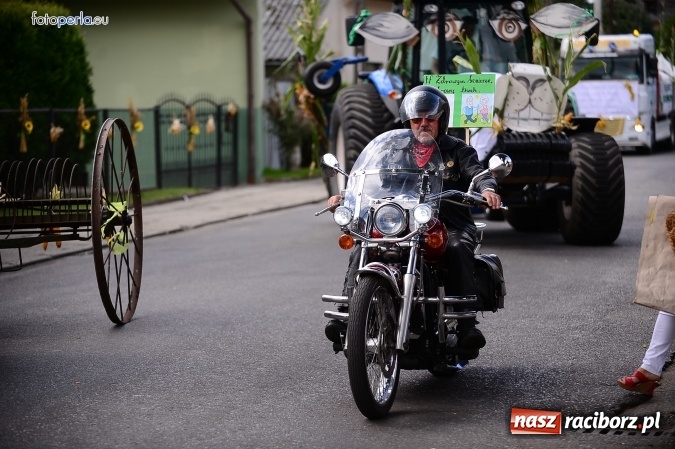 Zdjęcie w galerii na portalu naszraciborz.pl: Dożynki 2015 - krzanowicki korowód w obiektywie studia FotoPerla.eu wiadomości z regionu