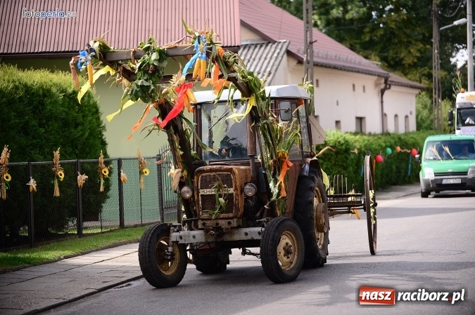 Zdjęcie w galerii na portalu naszraciborz.pl: Dożynki 2015 - krzanowicki korowód w obiektywie studia FotoPerla.eu wiadomości z regionu