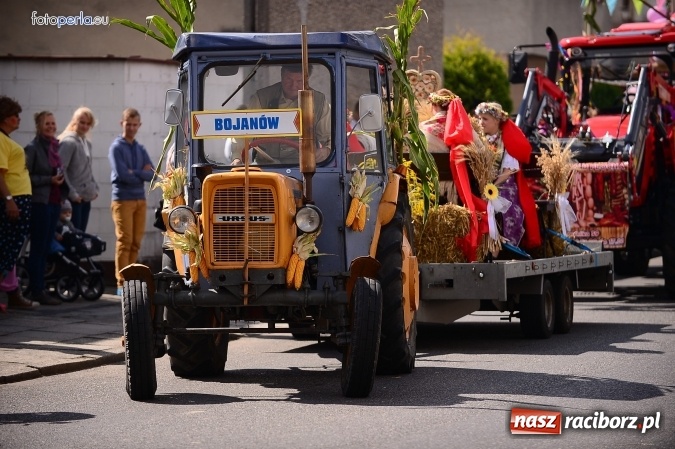 Zdjęcie w galerii na portalu naszraciborz.pl: Dożynki 2015 - krzanowicki korowód w obiektywie studia FotoPerla.eu wiadomości z regionu
