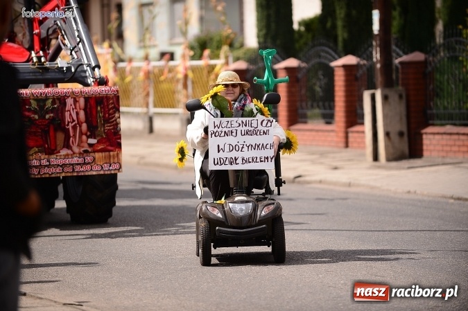 Zdjęcie w galerii na portalu naszraciborz.pl: Dożynki 2015 - krzanowicki korowód w obiektywie studia FotoPerla.eu wiadomości z regionu