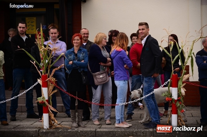 Zdjęcie w galerii na portalu naszraciborz.pl: Dożynki 2015 - krzanowicki korowód w obiektywie studia FotoPerla.eu wiadomości z regionu