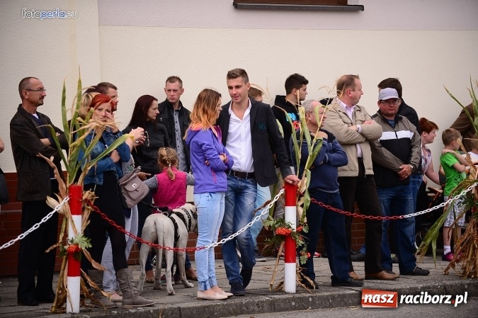 Zdjęcie w galerii na portalu naszraciborz.pl: Dożynki 2015 - krzanowicki korowód w obiektywie studia FotoPerla.eu wiadomości z regionu