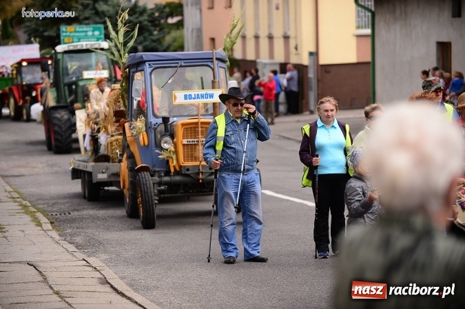 Zdjęcie w galerii na portalu naszraciborz.pl: Dożynki 2015 - krzanowicki korowód w obiektywie studia FotoPerla.eu wiadomości z regionu