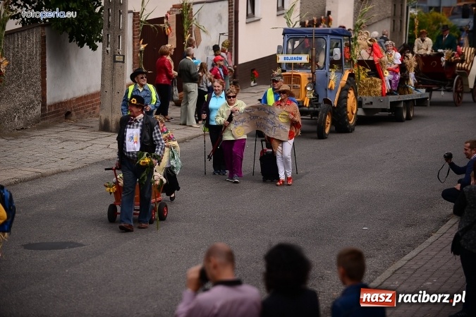 Zdjęcie w galerii na portalu naszraciborz.pl: Dożynki 2015 - krzanowicki korowód w obiektywie studia FotoPerla.eu wiadomości z regionu