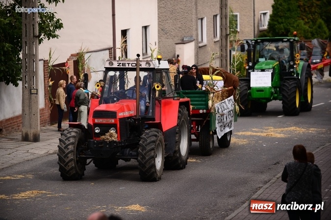 Zdjęcie w galerii na portalu naszraciborz.pl: Dożynki 2015 - krzanowicki korowód w obiektywie studia FotoPerla.eu wiadomości z regionu