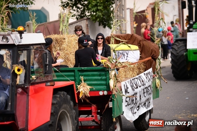 Zdjęcie w galerii na portalu naszraciborz.pl: Dożynki 2015 - krzanowicki korowód w obiektywie studia FotoPerla.eu wiadomości z regionu
