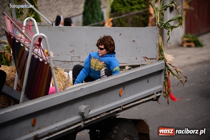 Zdjęcie w galerii na portalu naszraciborz.pl: Dożynki 2015 - krzanowicki korowód w obiektywie studia FotoPerla.eu wiadomości z regionu