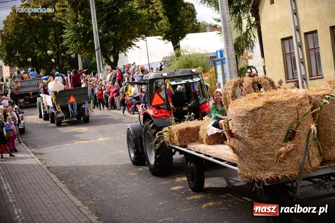 Zdjęcie w galerii na portalu naszraciborz.pl: Dożynki 2015 - krzanowicki korowód w obiektywie studia FotoPerla.eu wiadomości z regionu