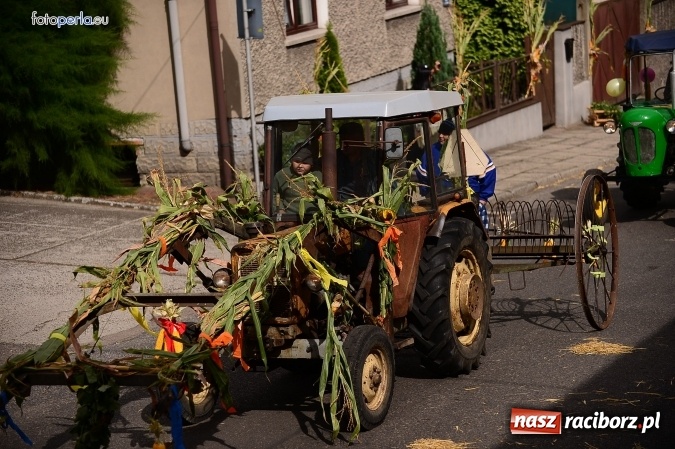 Zdjęcie w galerii na portalu naszraciborz.pl: Dożynki 2015 - krzanowicki korowód w obiektywie studia FotoPerla.eu wiadomości z regionu