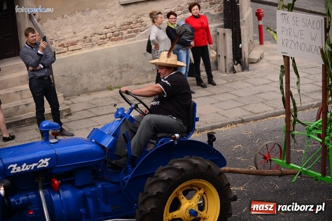 Zdjęcie w galerii na portalu naszraciborz.pl: Dożynki 2015 - krzanowicki korowód w obiektywie studia FotoPerla.eu wiadomości z regionu
