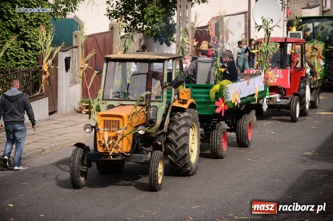 Zdjęcie w galerii na portalu naszraciborz.pl: Dożynki 2015 - krzanowicki korowód w obiektywie studia FotoPerla.eu wiadomości z regionu