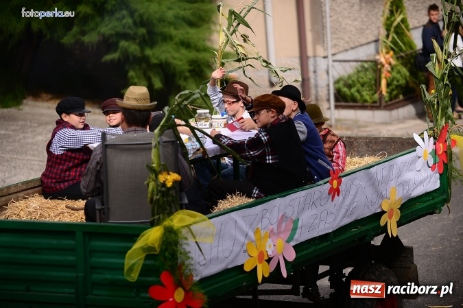 Zdjęcie w galerii na portalu naszraciborz.pl: Dożynki 2015 - krzanowicki korowód w obiektywie studia FotoPerla.eu wiadomości z regionu