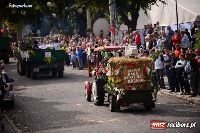 Zdjęcie w galerii na portalu naszraciborz.pl: Dożynki 2015 - krzanowicki korowód w obiektywie studia FotoPerla.eu wiadomości z regionu