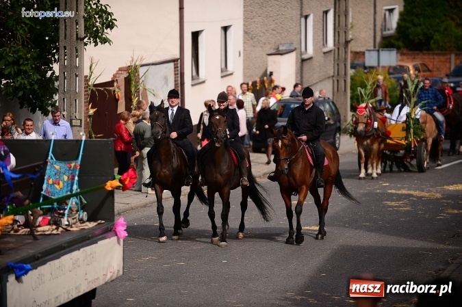 Zdjęcie w galerii na portalu naszraciborz.pl: Dożynki 2015 - krzanowicki korowód w obiektywie studia FotoPerla.eu wiadomości z regionu