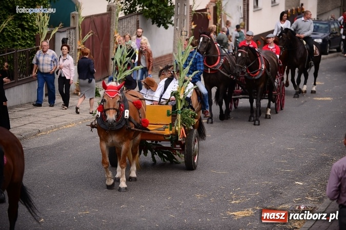 Zdjęcie w galerii na portalu naszraciborz.pl: Dożynki 2015 - krzanowicki korowód w obiektywie studia FotoPerla.eu wiadomości z regionu