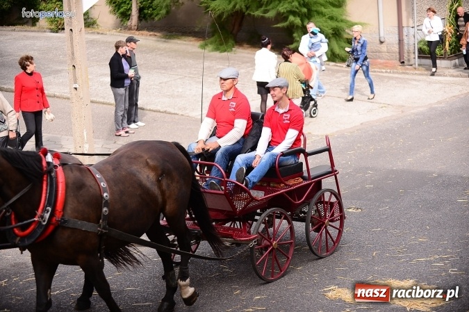 Zdjęcie w galerii na portalu naszraciborz.pl: Dożynki 2015 - krzanowicki korowód w obiektywie studia FotoPerla.eu wiadomości z regionu
