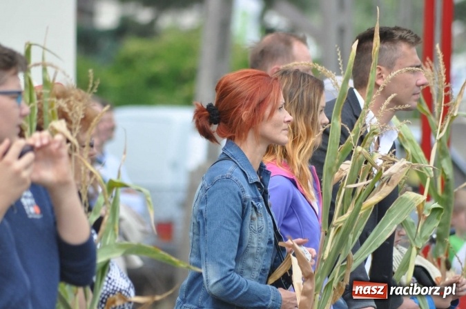 Zdjęcie w galerii na portalu naszraciborz.pl: Dożynki 2015 - święto plonów na 750-lecie miasta wiadomości z regionu