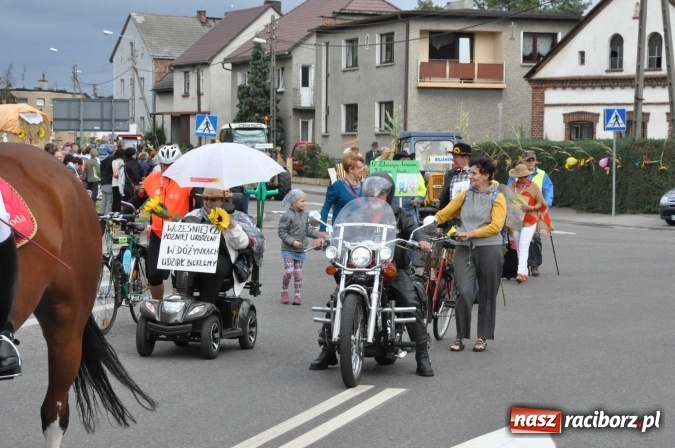Zdjęcie w galerii na portalu naszraciborz.pl: Dożynki 2015 - święto plonów na 750-lecie miasta wiadomości z regionu