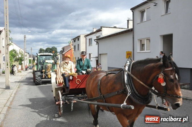 Zdjęcie w galerii na portalu naszraciborz.pl: Dożynki 2015 - święto plonów na 750-lecie miasta wiadomości z regionu