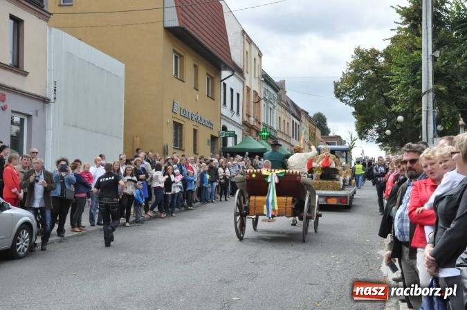 Zdjęcie w galerii na portalu naszraciborz.pl: Dożynki 2015 - święto plonów na 750-lecie miasta wiadomości z regionu