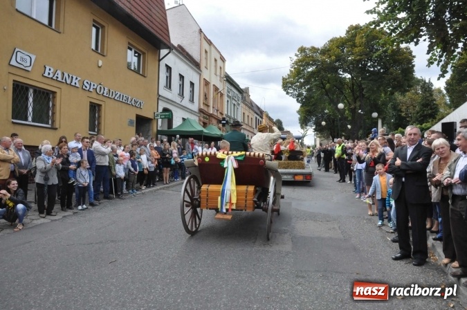 Zdjęcie w galerii na portalu naszraciborz.pl: Dożynki 2015 - święto plonów na 750-lecie miasta wiadomości z regionu