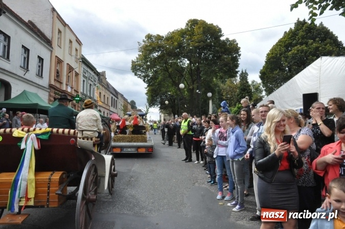 Zdjęcie w galerii na portalu naszraciborz.pl: Dożynki 2015 - święto plonów na 750-lecie miasta wiadomości z regionu