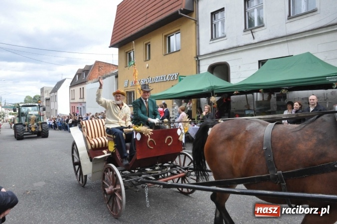 Zdjęcie w galerii na portalu naszraciborz.pl: Dożynki 2015 - święto plonów na 750-lecie miasta wiadomości z regionu