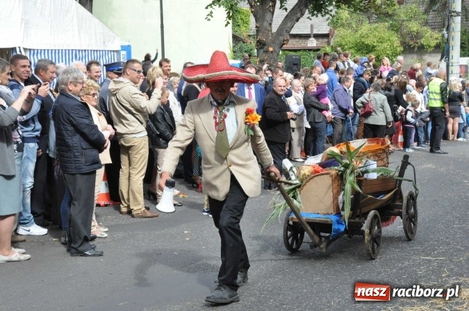 Zdjęcie w galerii na portalu naszraciborz.pl: Dożynki 2015 - święto plonów na 750-lecie miasta wiadomości z regionu