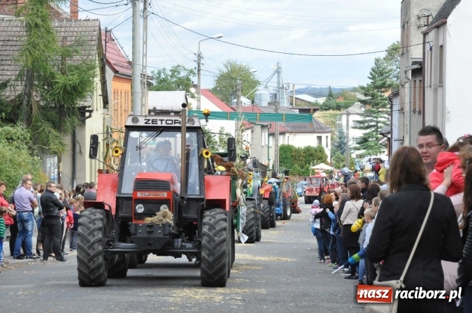 Zdjęcie w galerii na portalu naszraciborz.pl: Dożynki 2015 - święto plonów na 750-lecie miasta wiadomości z regionu