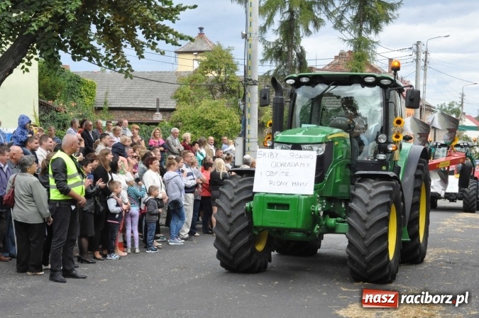 Zdjęcie w galerii na portalu naszraciborz.pl: Dożynki 2015 - święto plonów na 750-lecie miasta wiadomości z regionu