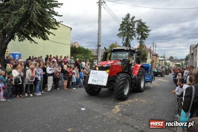 Zdjęcie w galerii na portalu naszraciborz.pl: Dożynki 2015 - święto plonów na 750-lecie miasta wiadomości z regionu