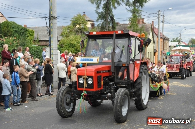Zdjęcie w galerii na portalu naszraciborz.pl: Dożynki 2015 - święto plonów na 750-lecie miasta wiadomości z regionu