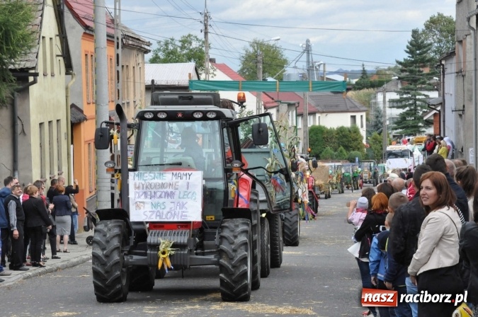 Zdjęcie w galerii na portalu naszraciborz.pl: Dożynki 2015 - święto plonów na 750-lecie miasta wiadomości z regionu