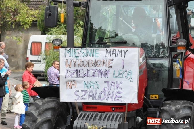 Zdjęcie w galerii na portalu naszraciborz.pl: Dożynki 2015 - święto plonów na 750-lecie miasta wiadomości z regionu