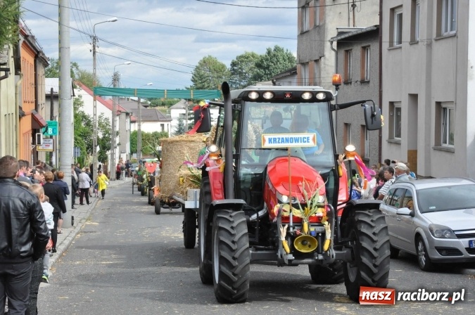 Zdjęcie w galerii na portalu naszraciborz.pl: Dożynki 2015 - święto plonów na 750-lecie miasta wiadomości z regionu